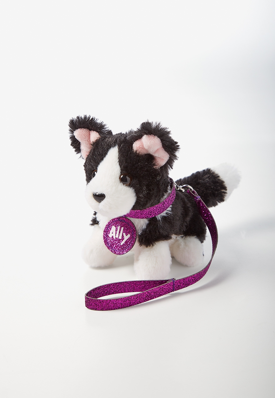 border collie pet shop