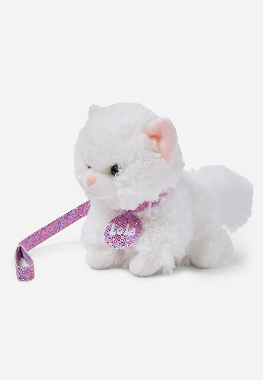 pet shop persian cat